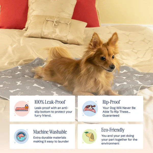 The Best Pee Pad You'll Get